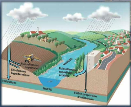 L’eau dans la nature